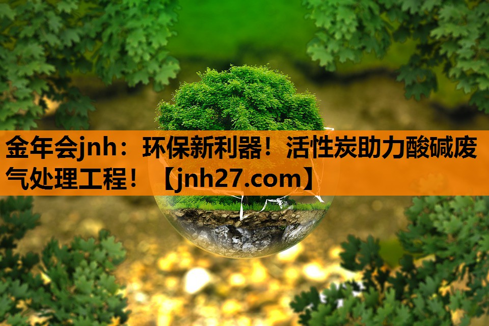 <strong>金年会jnh：环保新利器！活性炭助力酸碱废气处理工程！</strong>