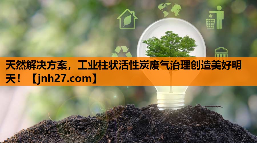 <strong>天然解决方案，工业柱状活性炭废气治理创造美好明天！</strong>