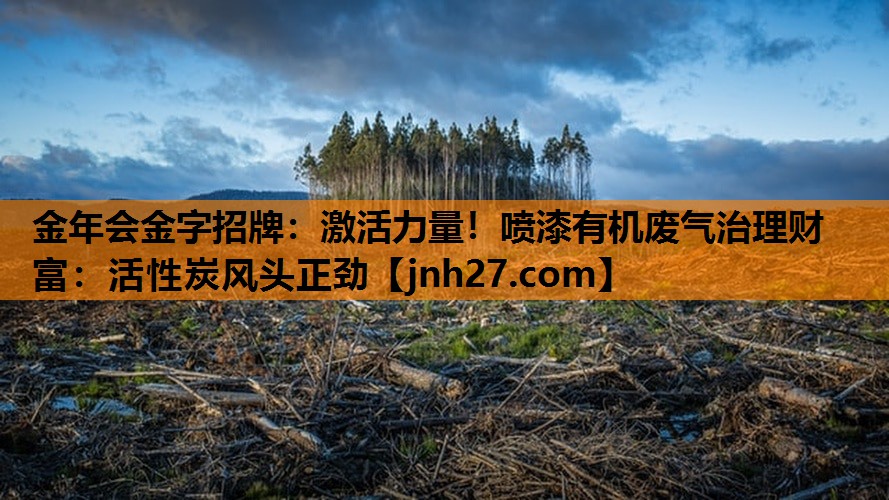 金年会金字招牌：激活力量！喷漆有机废气治理财富：活性炭风头正劲