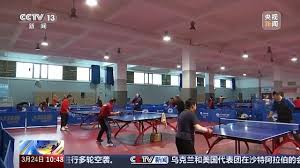 世界杯官网线上平台 乒乓球台的侧面长度是
