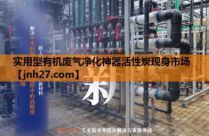 实用型有机废气净化神器活性炭现身市场