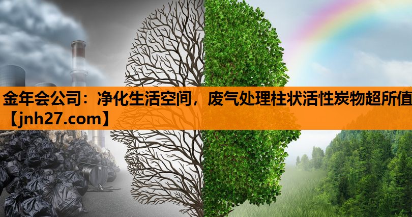 净化生活空间，废气处理柱状活性炭物超所值
