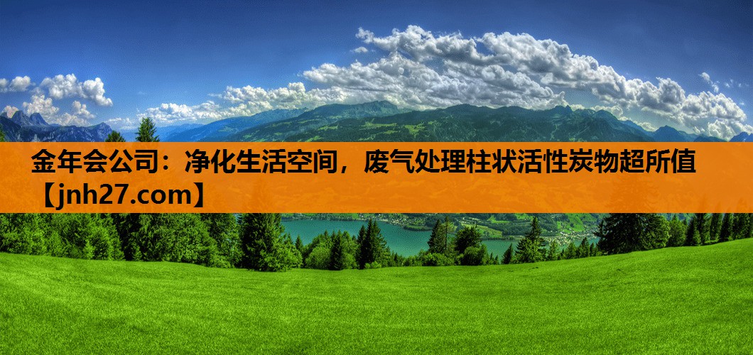 净化生活空间，废气处理柱状活性炭物超所值