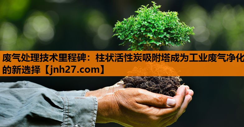 废气处理技术里程碑：柱状活性炭吸附塔成为工业废气净化的新选择