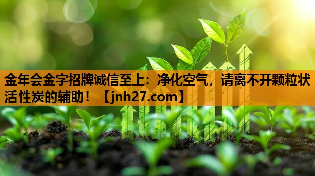 净化空气，请离不开颗粒状活性炭的辅助！