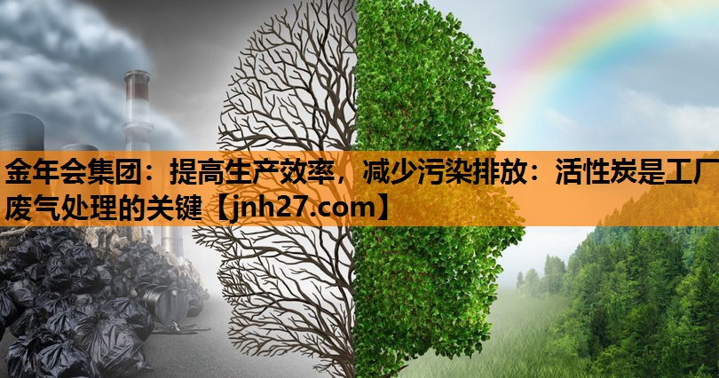提高生产效率，减少污染排放：活性炭是工厂废气处理的关键